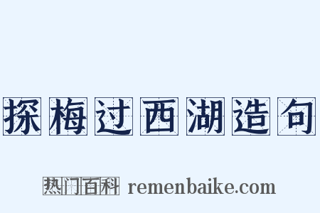 探梅过西湖造句是什么意思的图片